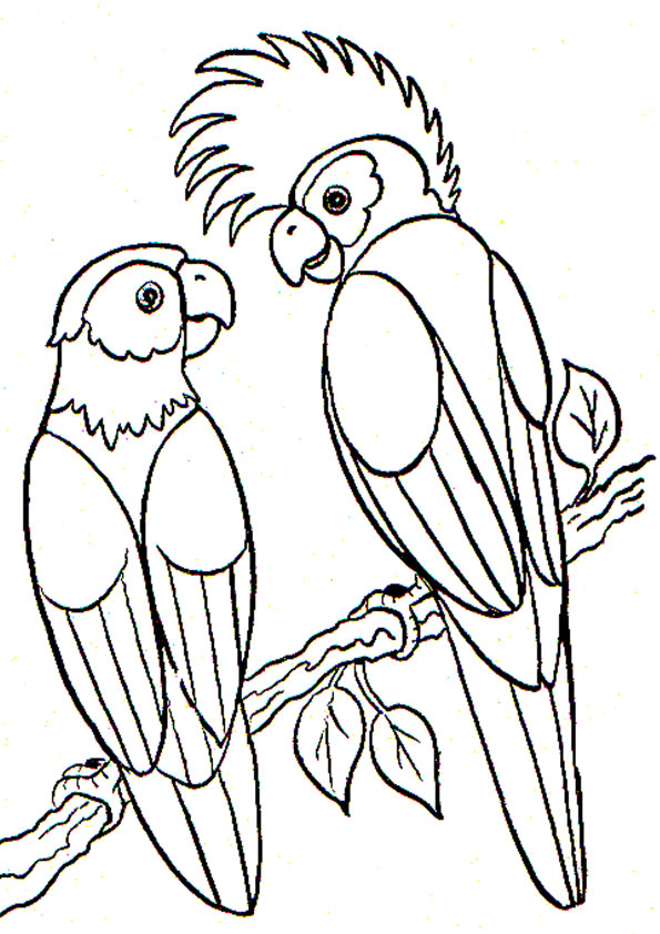 Coloring pages p for parrot coloring pages