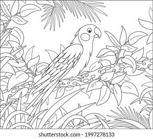 Parrot color book images stock photos d objects vectors