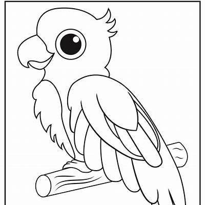 Parrot coloring book cute parrot coloring book for toddlers and kids who love p