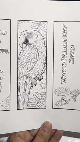 Bundle world parrot day may word search coloring pages and bookmarks