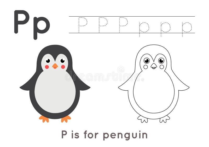 Coloring and tracing page with letter p and cute cartoon penguin stock vector