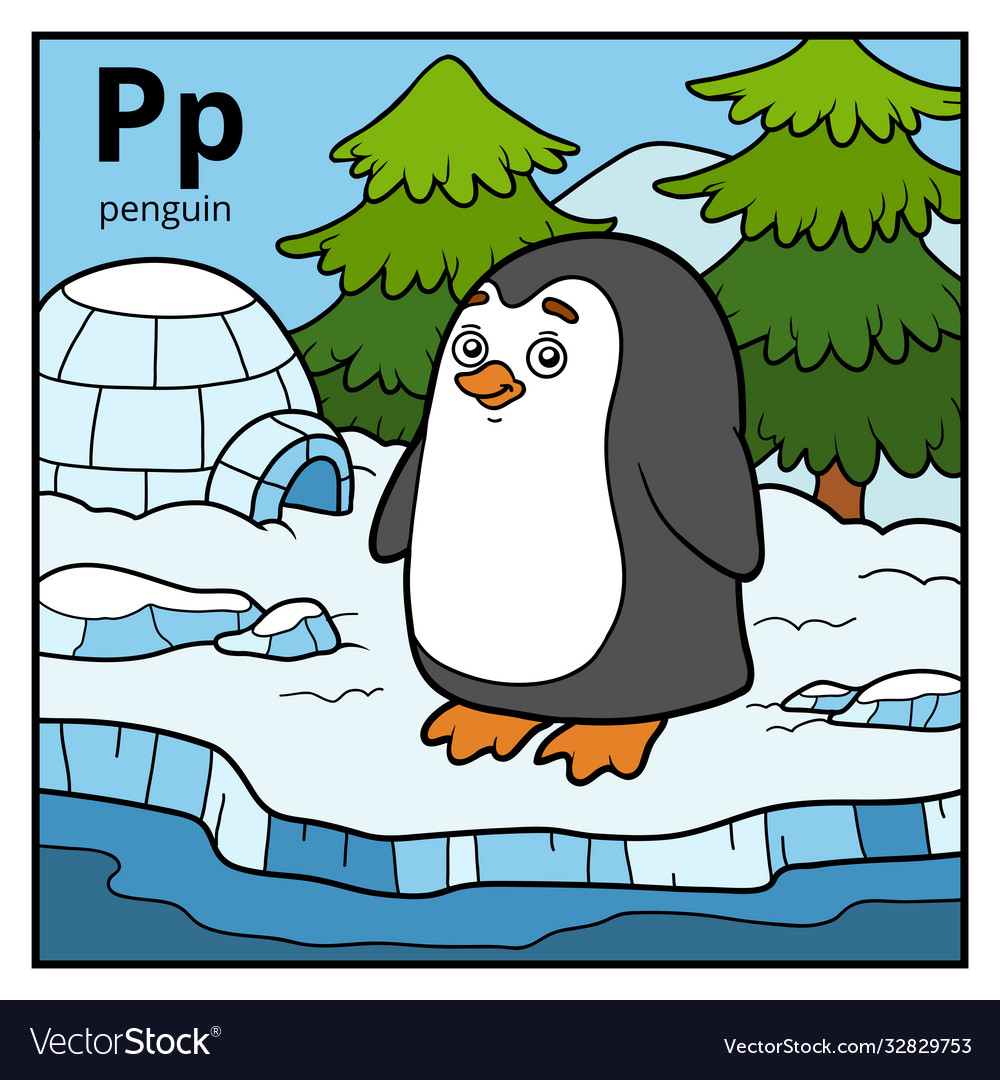 Color alphabet for children letter p penguin vector image