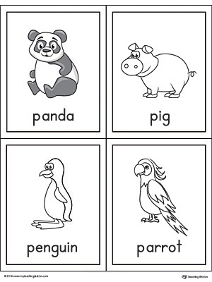 Letter p words and pictures printable cards panda pig penguin parrot