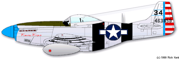 Camouflage and markings of north american p