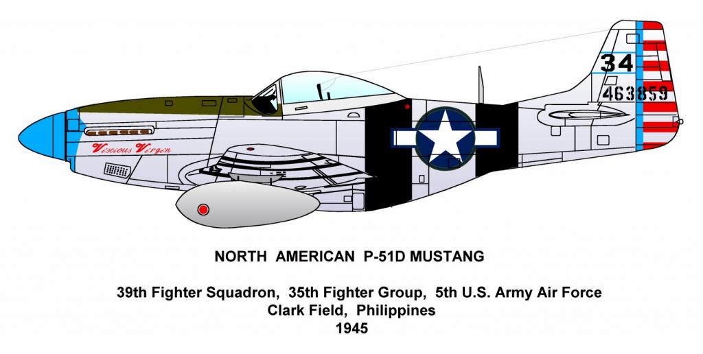 Camouflage and markings of the north american p