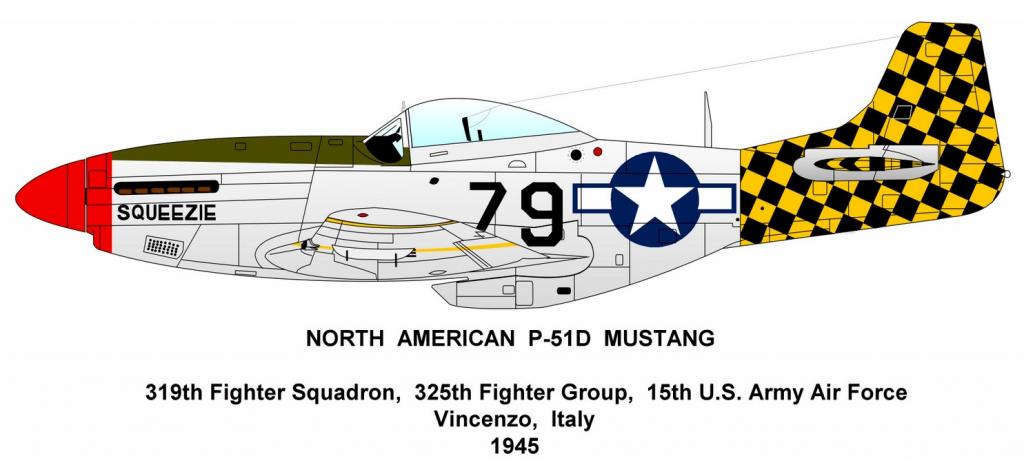 Camouflage and markings of the north american p