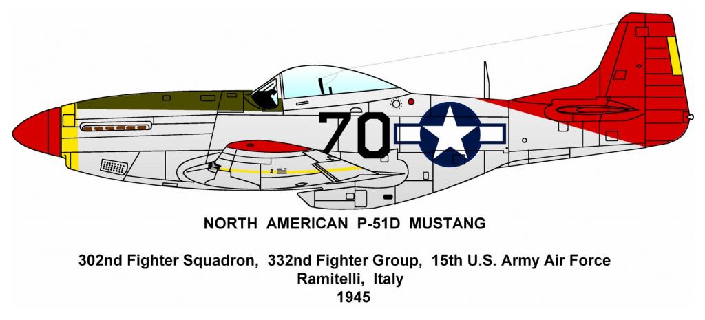 Camouflage and markings of the north american p