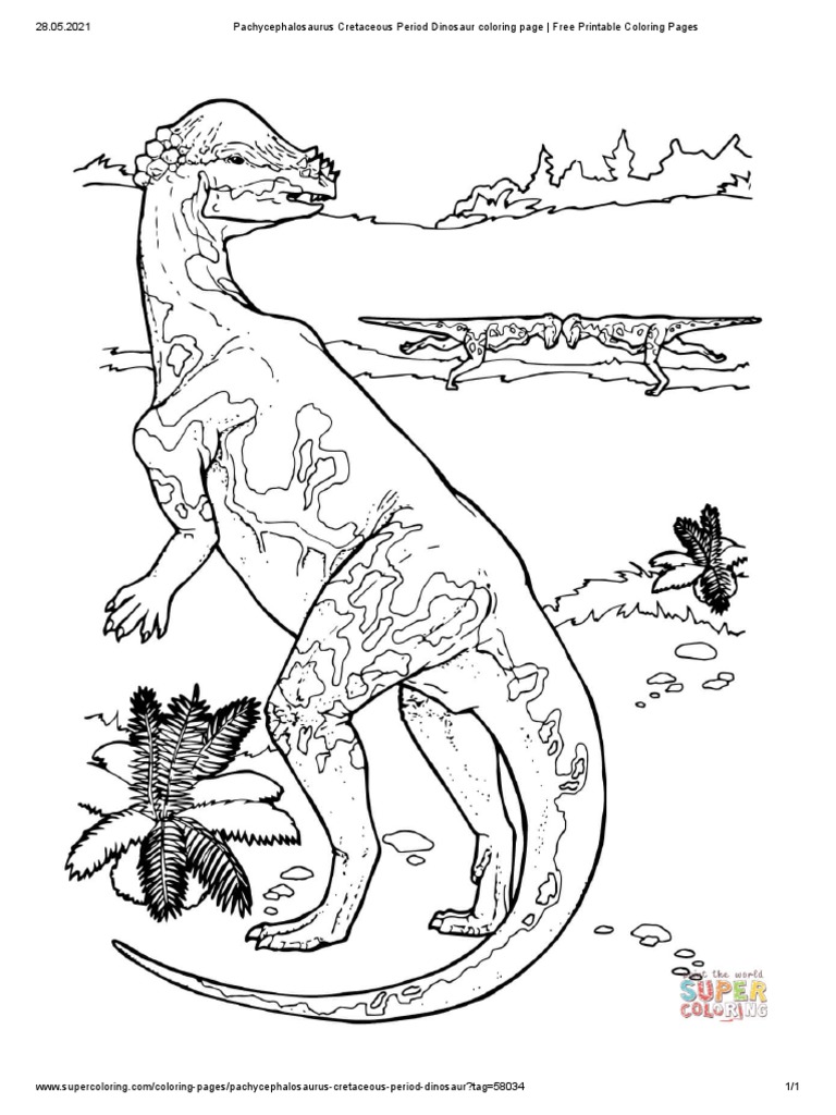 Pachycephalosaurus cretaceous period dinosaur coloring page