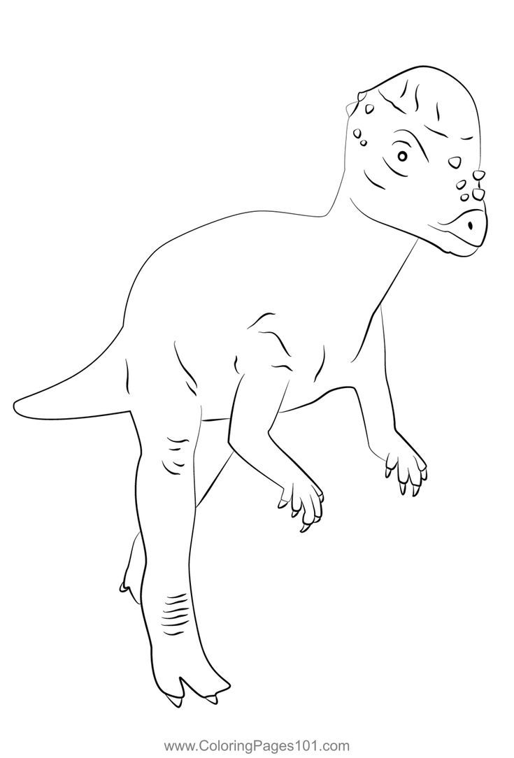 Pachycephalosaurus dino coloring page dinosaur coloring pages coloring pages dinosaur printables