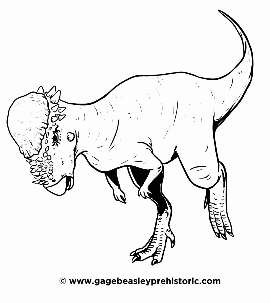 Pachycephalosaurus pictures