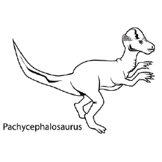 Top free printable unique dinosaur coloring pages online