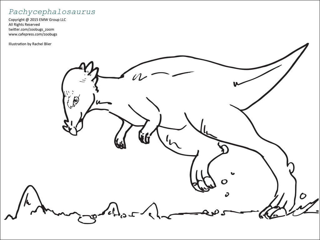 Dinosaur coloring sheets