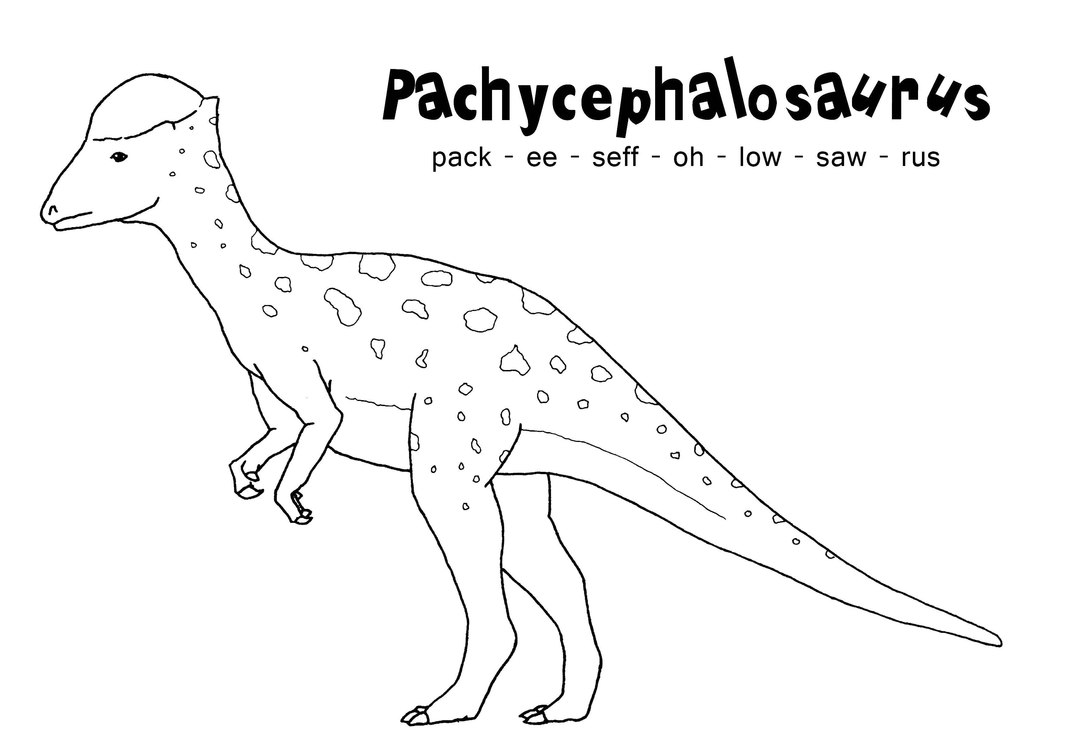 Online coloring pages coloring page pachycephalosaus dinosaur download print coloring page