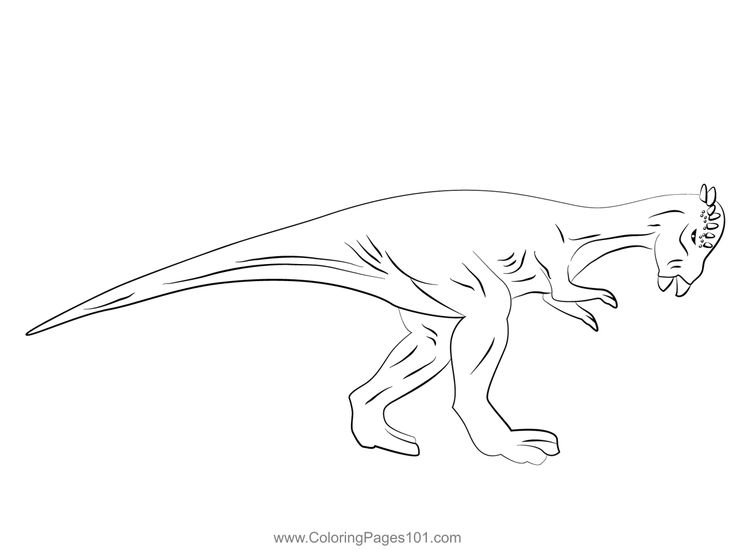 Pachycephalosaurus walking coloring page dinosaur coloring pages coloring pages dinosaur printables