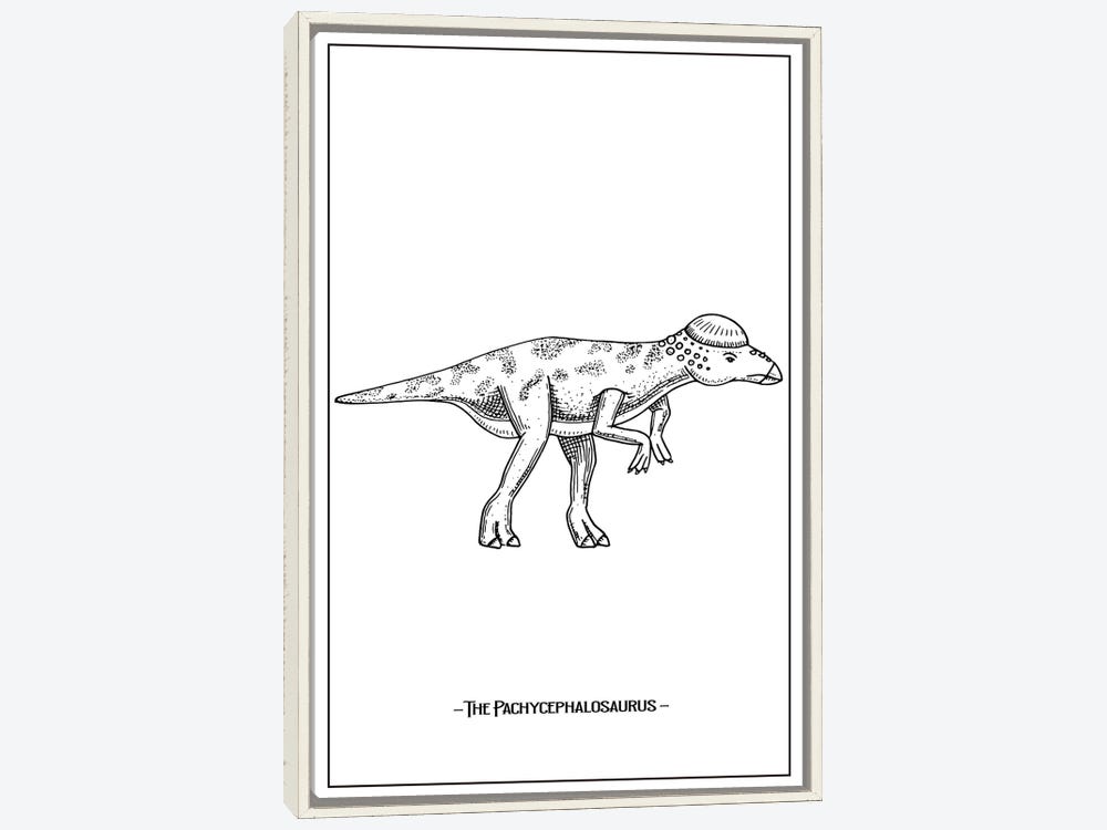 The pachycephalosaurus canvas wall art by jay stanley