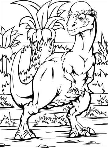 Pachycephalosaurus coloring page free printable coloring pages