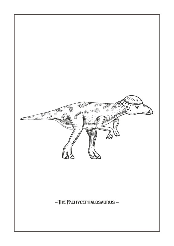 The pachycephalosaurus studio selection poster