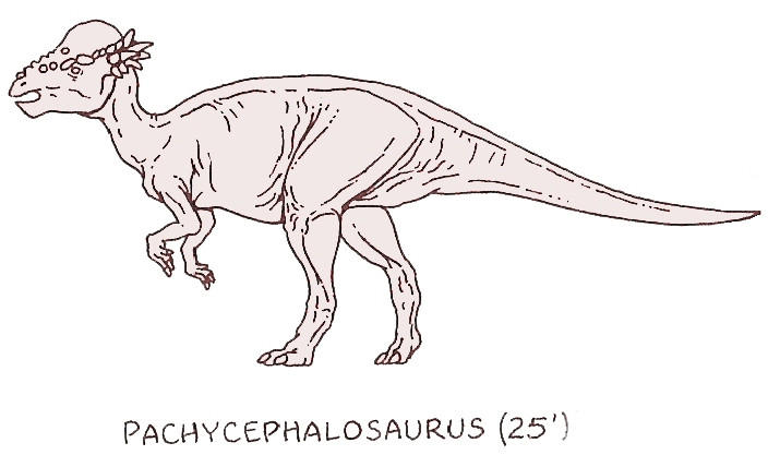 Pachycephalosaurus by ponchofirewalker on