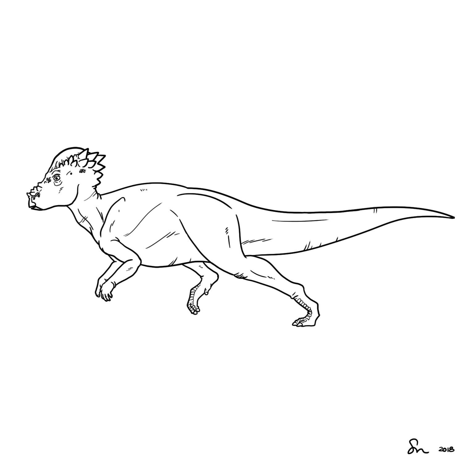 Pachycephalosaurus dino art oc rdinosaurs