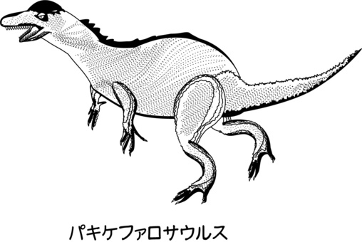 Free vectors pachycephalosaurus