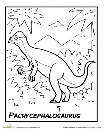 Pachycephalosaurus worksheet education coloring pages dinosaur crafts color