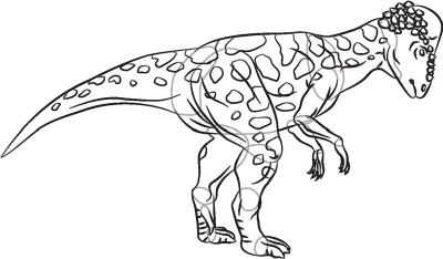 Dinosaur coloring pages pachycephalosaurus