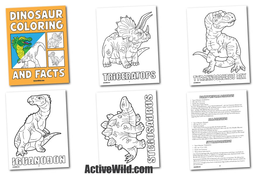 Dinosaur coloring and facts â printable pdf book to download