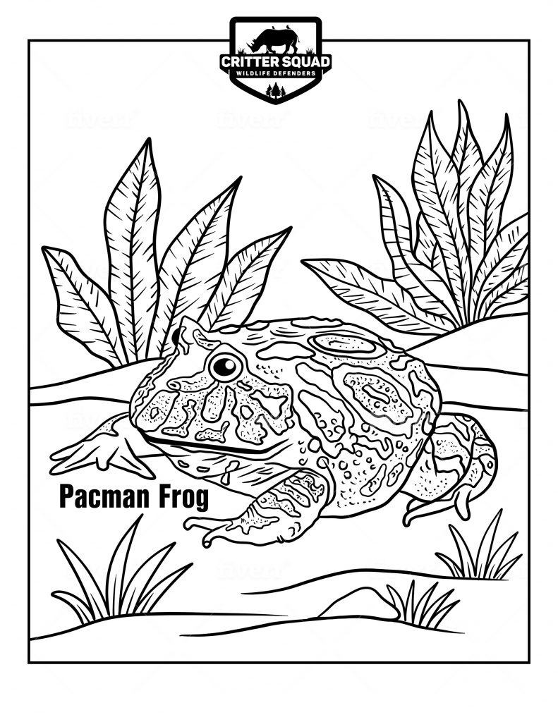 Pacman frog coloring page