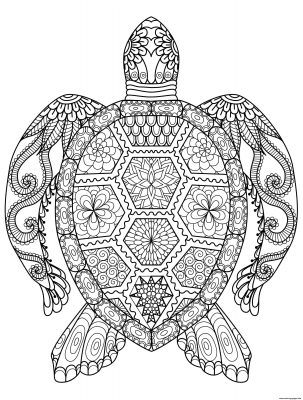 Coloring pages color by number