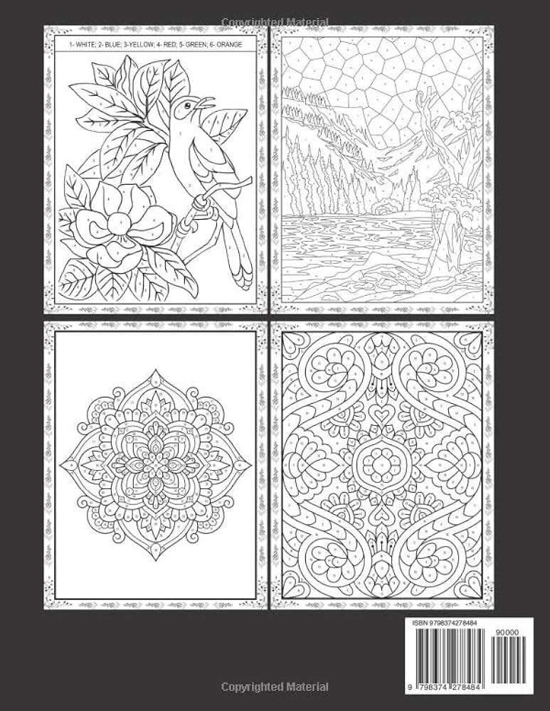 Large print color by number large print color by numbers coloring book of flowers patterns mandala national parks spring coloring pages for adults seniors and teens d jury darlene