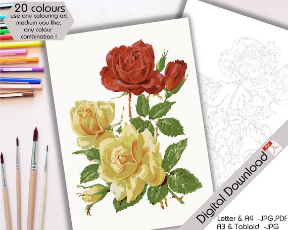 Printable paint by numbers paint by number rose adult colouring page vintage rose art print rose wall art printable floral wall art