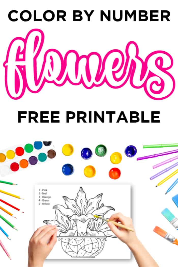 Free color by number flowers