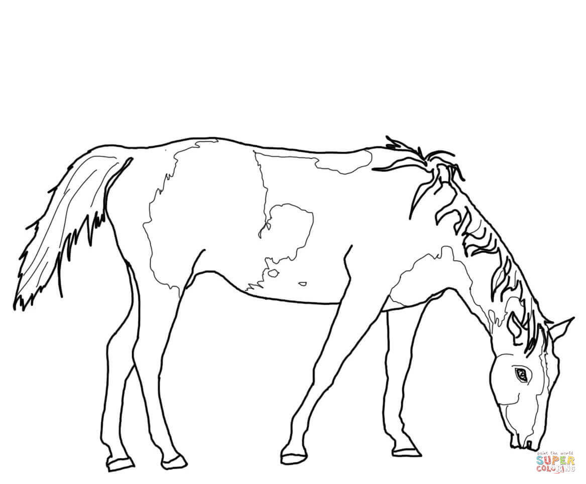 Paint horse grazing coloring page free printable coloring pages