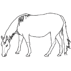 Top free printable horse coloring pages online