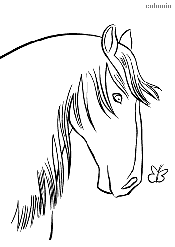 Horses coloring pages free printable horse coloring sheets