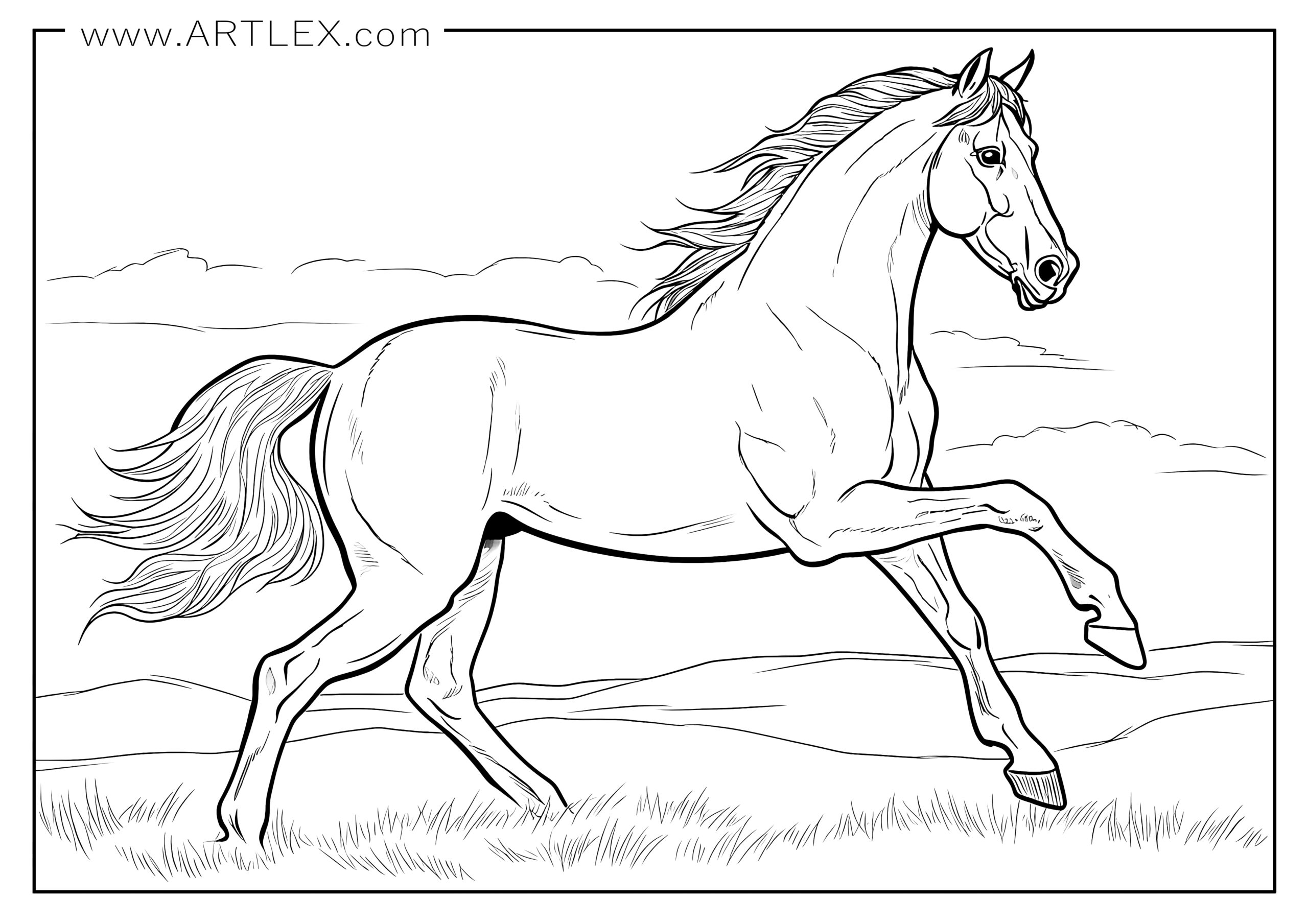 Best horses coloring pages free printable â