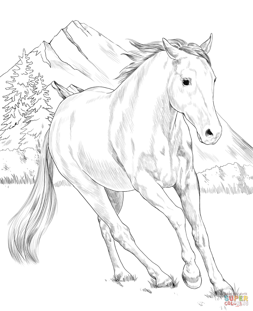 American paint horse coloring page free printable coloring pages horse coloring books horse coloring pages horse painting