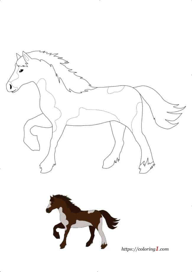 Horse coloring pages