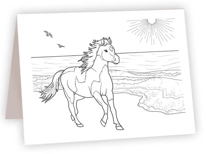 Ccohorse ahava river cards books