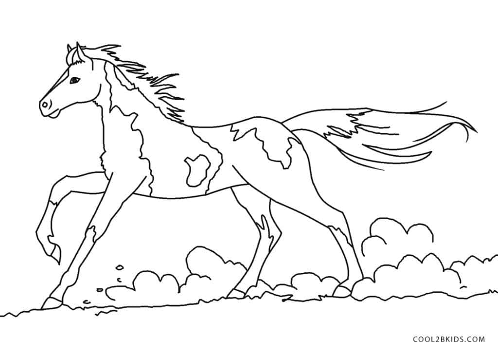 Download coloring fun with a horse