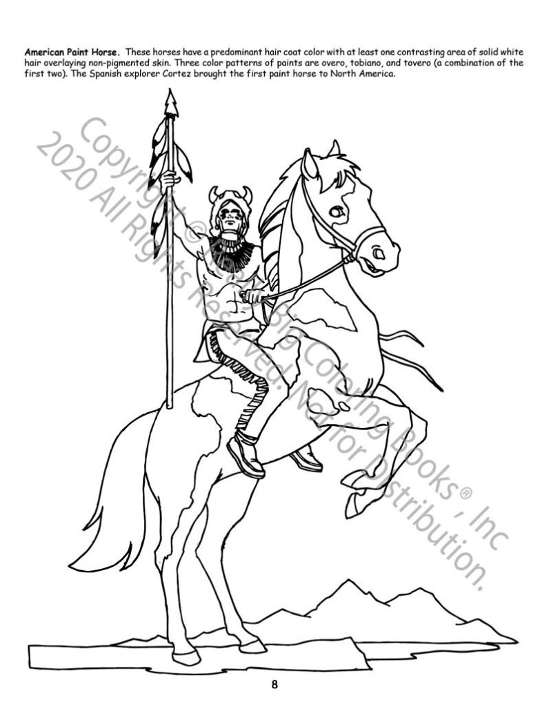 Horses coloring book x