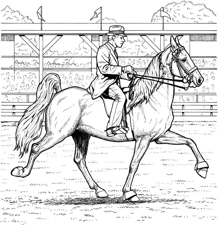 Free horse coloring pages