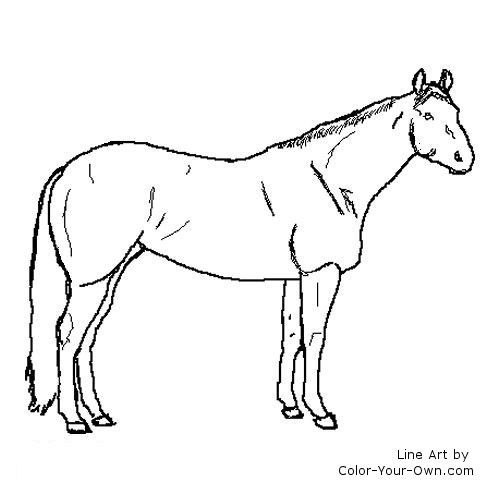 Stock horse mare coloring page