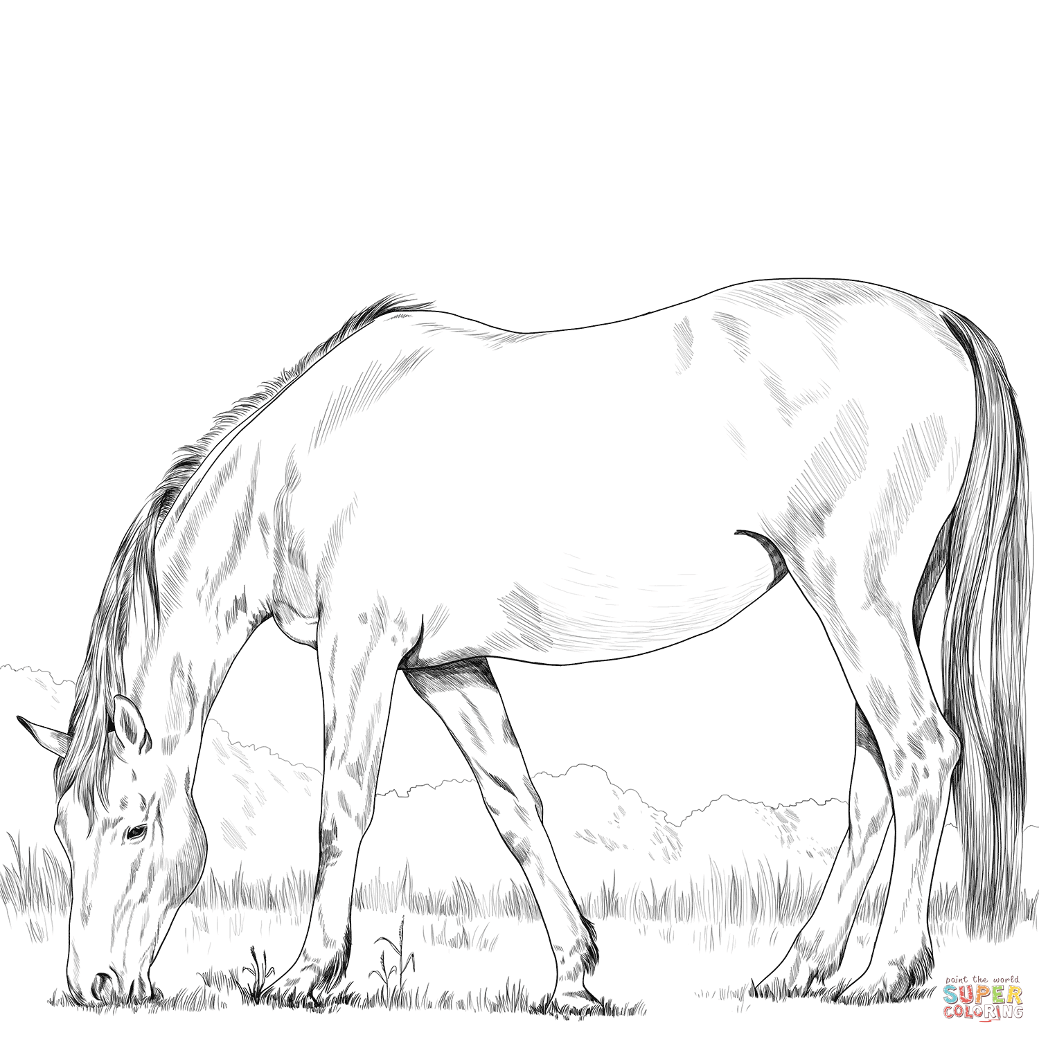 Hanoverian horse coloring page free printable coloring pages