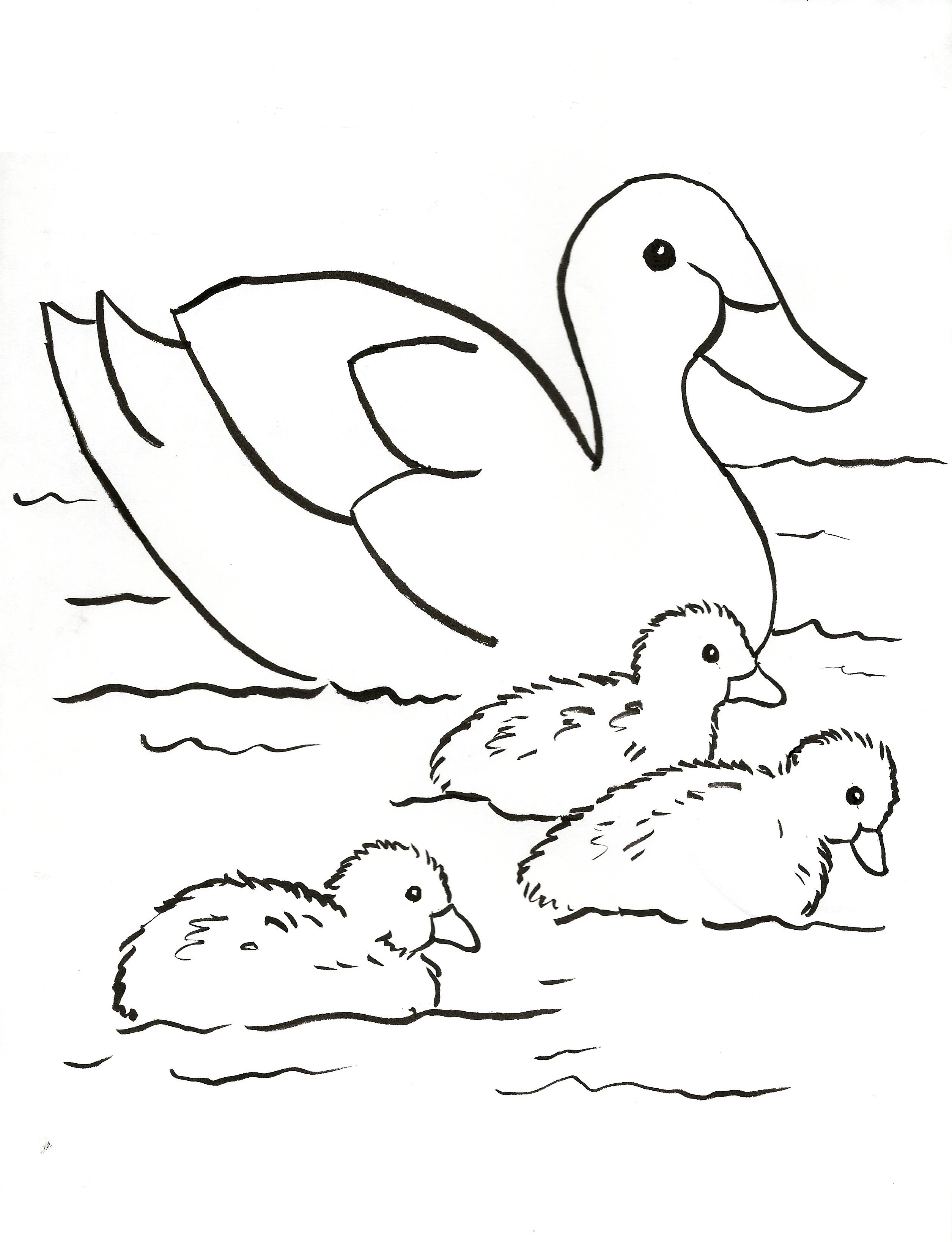 Duck family coloring page