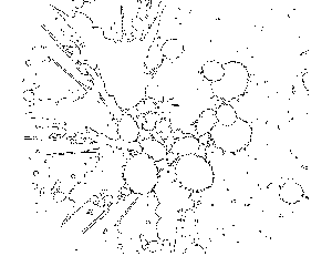 Abstract paint splatters coloring page