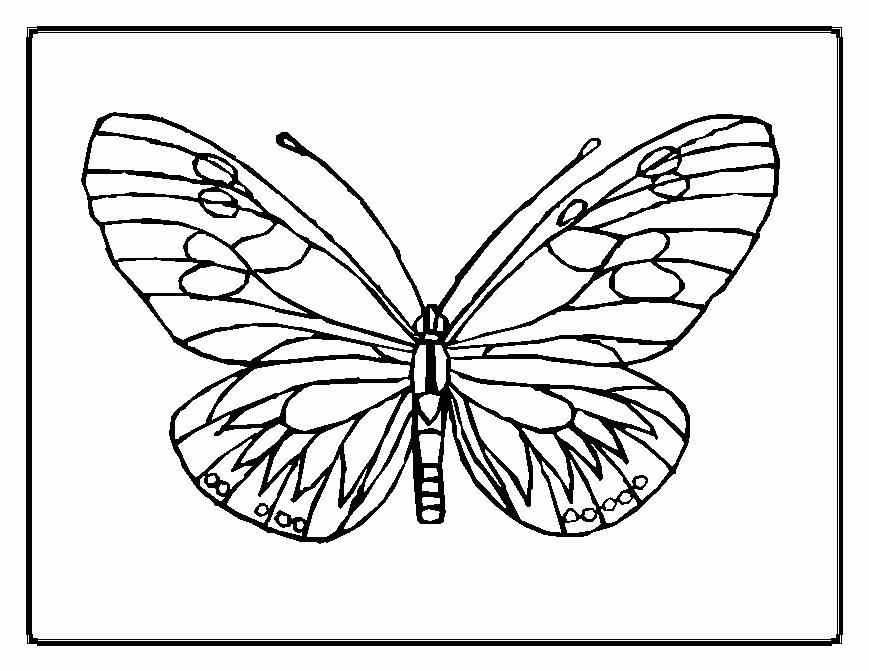 Free painted lady butterfly coloring page download free painted lady butterfly coloring page png images free cliparts on clipart library