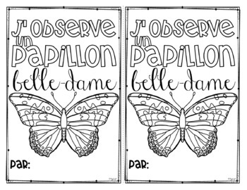 French painted lady butterfly by peg swift french immersion tpt