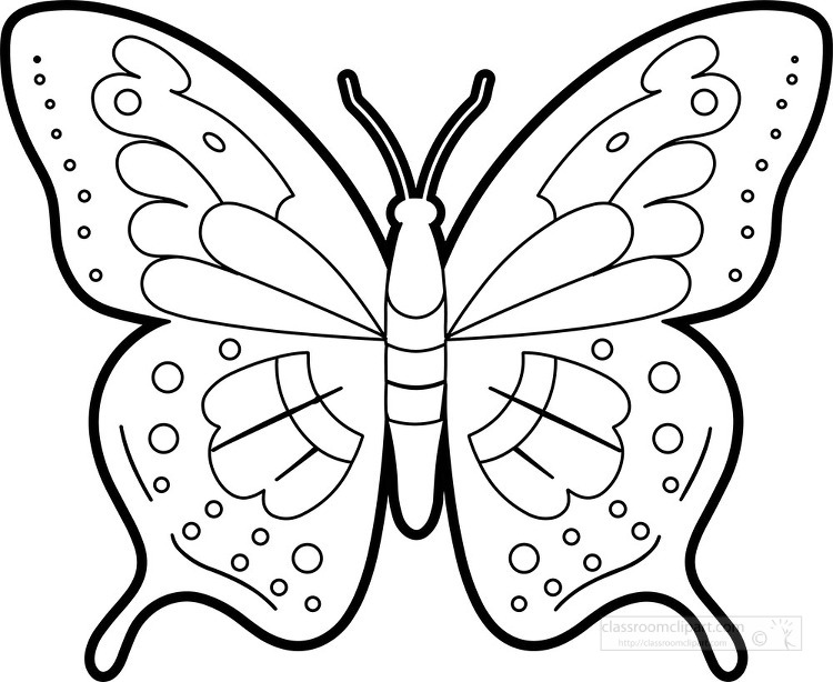 Butterfly clipart