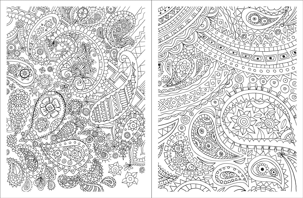 Posh adult coloring book paisley designs for fun relaxation volume posh coloring books logan teresa roberts books